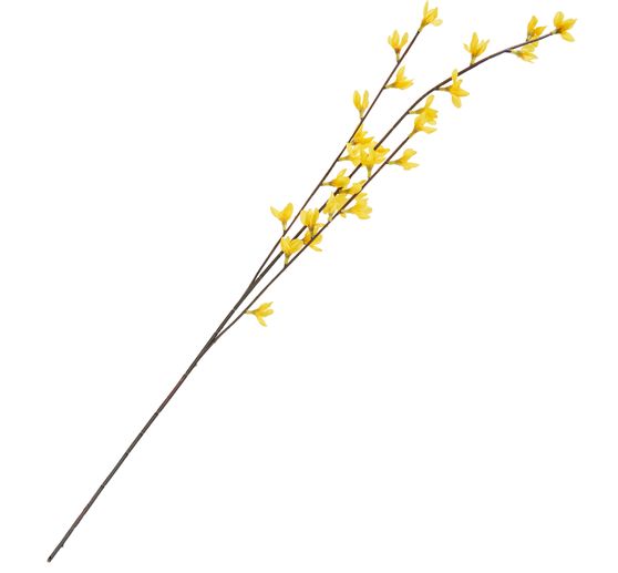 Forsythia branch, ca. L 83 cm