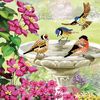 Diamond Painting « Crystal Art Card » Birds